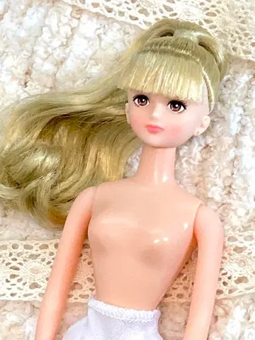 즐거운 인형 시온 리카짱 캐슬