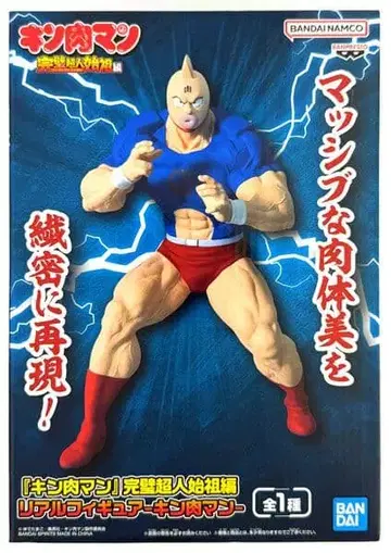 근육맨 완벽초인 시조편 리얼 피규어 근육맨
