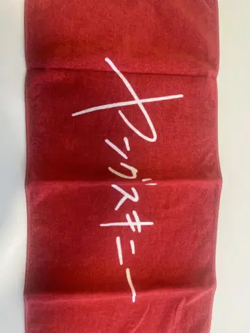 영 스키니 타월 러버 밴드 2개