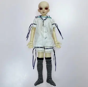 헤드 & 바디 MSD 미니 슈퍼돌피 SDM