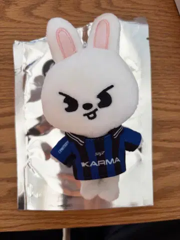 straykids KARMA skzoo ver 리비트