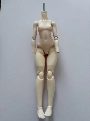 풀 커스텀 MDD 바디 딜러 제작 부품 & 프레임 + 정품 세미 화이트