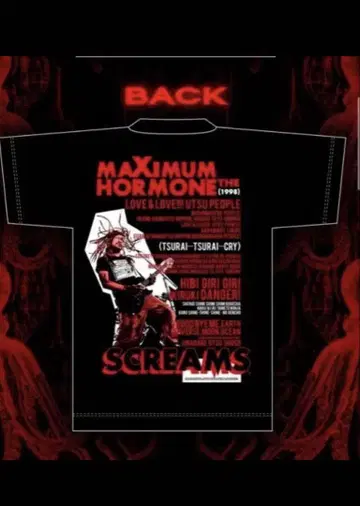 MAXIMUM HORMONE 셔츠와 타월