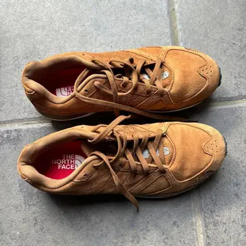 THE NORTH FACE 브라운 아웃도어 신발 25.5 브라운