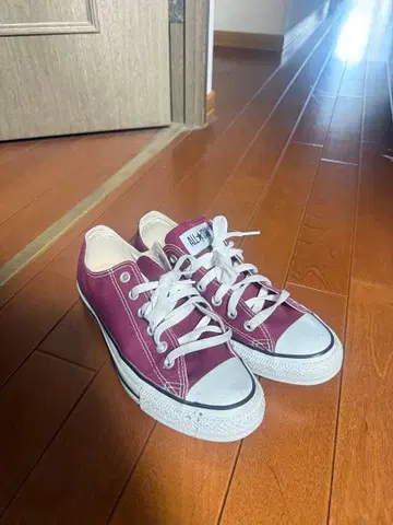 와인 레드 로우컷 스니커즈