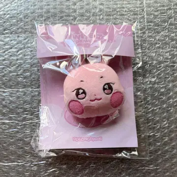 ANITEEZ IN DREAMLAND 페이스 키링 성화 새상품