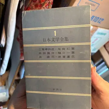 일본 문학 전집 전 45권 신초샤