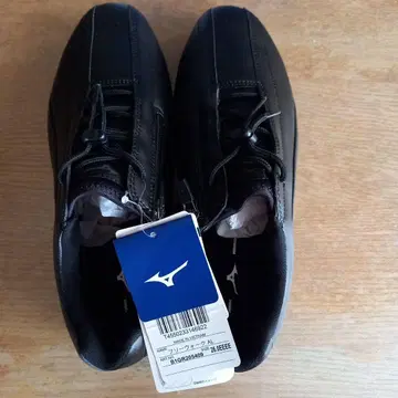 Mizuno FREEWALK AL 26.0 EEE