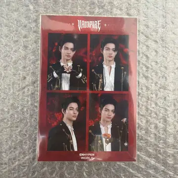 ENHYPEN WORLD 팝업 구매 혜택 니키
