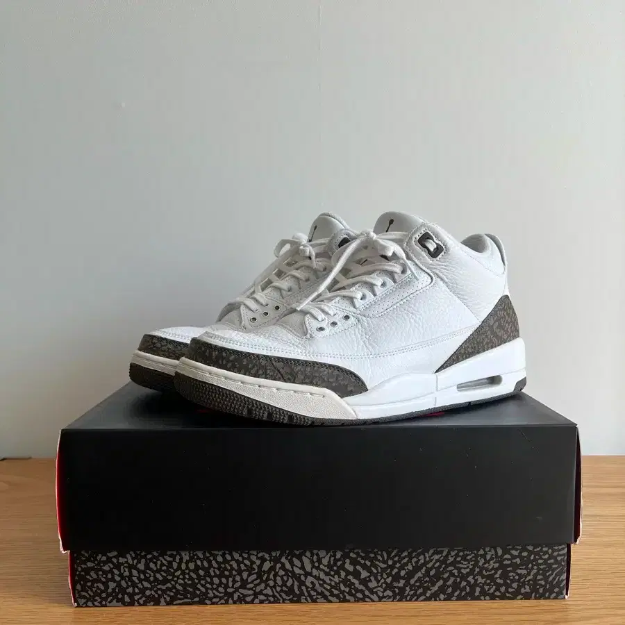 Jordan 3 Mocha 270mm