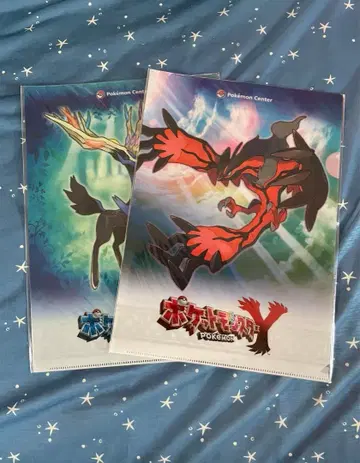 포켓몬 X Y 클리어 파일 2장 세트