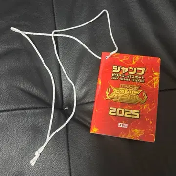 점프 빅토리 카니발 여권 점프 페스타