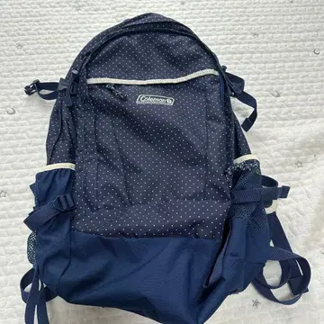 콜맨 백팩 네이비 워커33