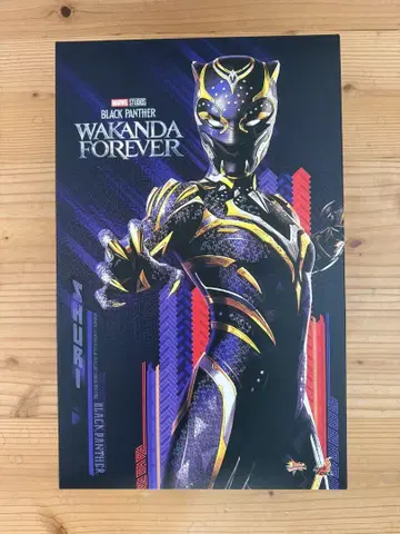 무비 마스터피스 블랙팬서 와칸다 포에버 1/6