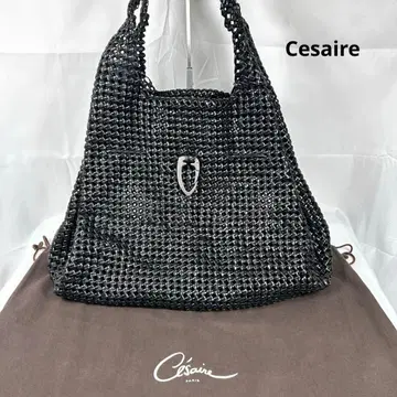 Cesaire 메쉬 인트레차트 핸드백 블랙 가죽
