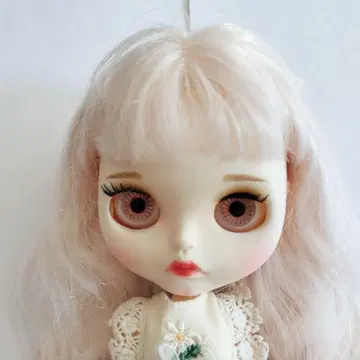 icy 인형 본체