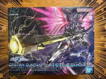 HG 1/144 데스티니 건담