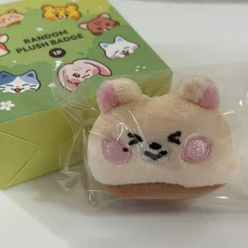NCTDREAM LINE FRIENDS POPUP 인형 배지 지성
