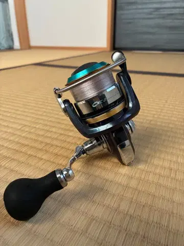 DAIWA 에메랄다스 INF2506