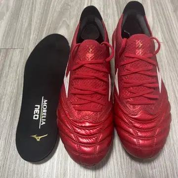 모렐리아 네오 4 베타 25cm