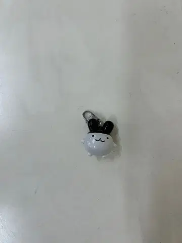 토끼 참 화이트 블랙