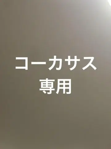 가면라이더 카부토 csm 풍 카부틱 제트터 bgm 대사 코카서스