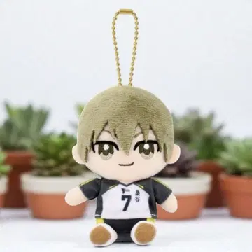 하이큐!! Chibi 앉은 인형 마스코트 코노하 아키노리