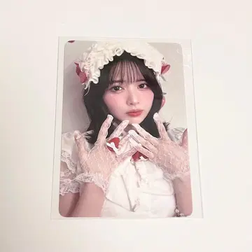 진세이 스즈카 트레이딩 카드