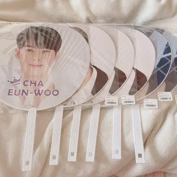 차은우 차은우 부채