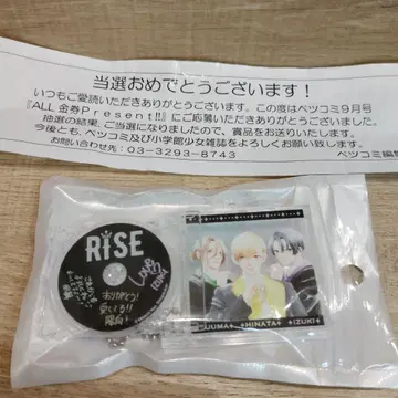 오늘도 왕자님이 존귀합니다 RISE 미니 CD 키링 초레어품 당선품