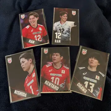 전일본 남자 배구 선수 스티커 세트