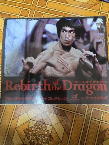 Rebirth of the Dragon 아트북