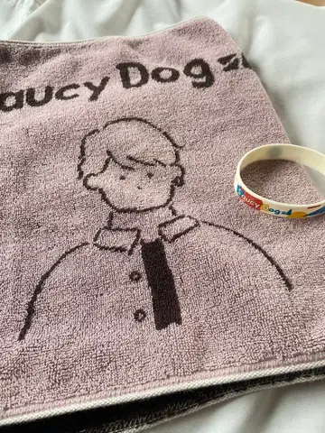 Saucy Dog 타월 라바밴 세트