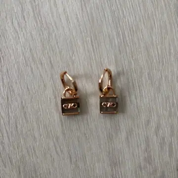 그레이 락 배기 드롭 귀걸이