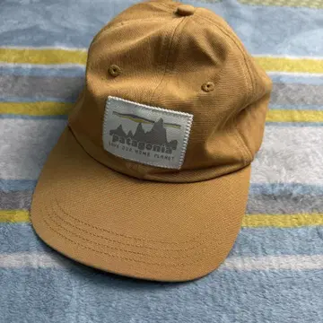 Patagonia 브라운 야구 모자