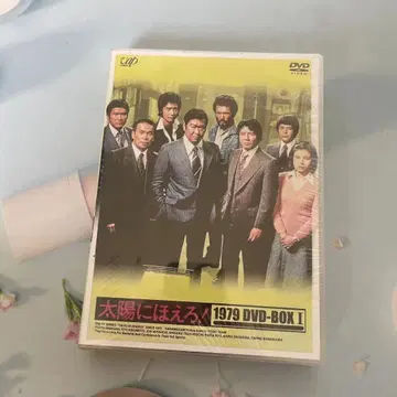 미개봉 드라마 DVD 태양에 ! 1979 DVD-BOX I