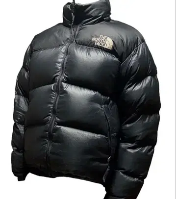 USA THE NORTH FACE 블랙 다운 자켓