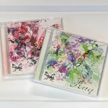 더 레이드. 레이 A 타입, B 타입 2장 세트