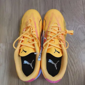 트레이닝 슈즈 24cm 푸마 축구