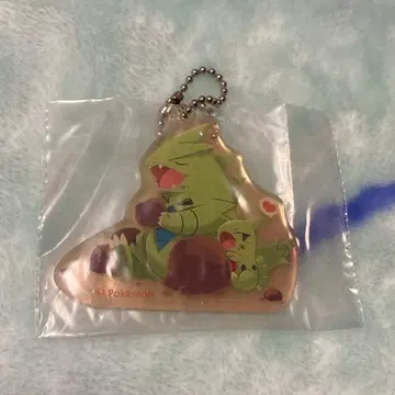 포켓몬 TAIKI BANSEI 대기만성 뱅기라스 아크릴 키링