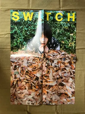 논 SWITCH 포스터 1장