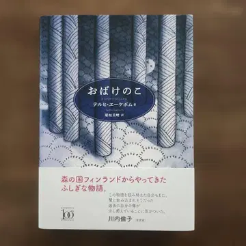 유령의 아이 테루히 에케봄 핀란드 구류도