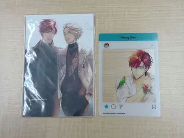 세라피 게임 엽서 세트 히노하라 메구루 SNS풍 클리어 파일 시즈마