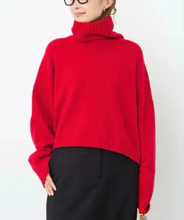 NeoCropped 터틀넥 풀오버 레드