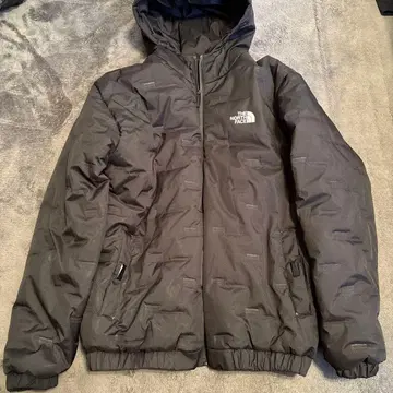 THE NORTH FACE 다운