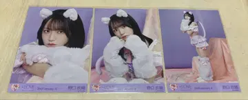이코럽 고양이 의상 노구치 이오리 브로마이드