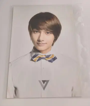 SEVENTEEN 준 카드