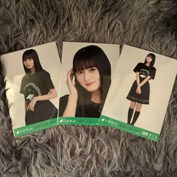 에도 사쿠라 3종 컴프