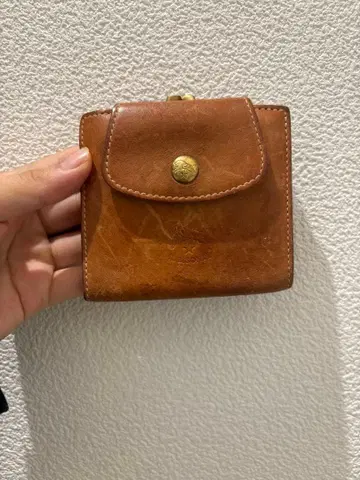 일비종떼 이단 접이식 지갑