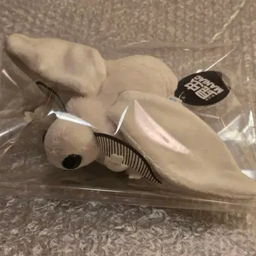 곤충 MANIAC 누에 누에 누에 나방 봉제 인형 곤충 매니아 굿즈